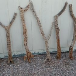 Cholla Cactus For Reptile Enclosure Or Aquarium