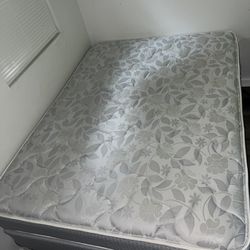 Full Sized Mattress 