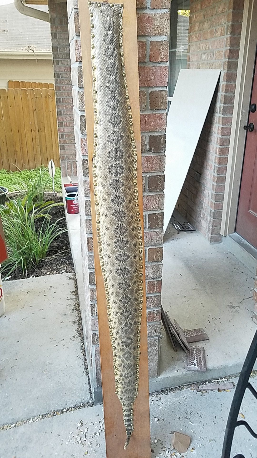 Mounted rattlesnake skin for Sale in San Antonio, TX OfferUp
