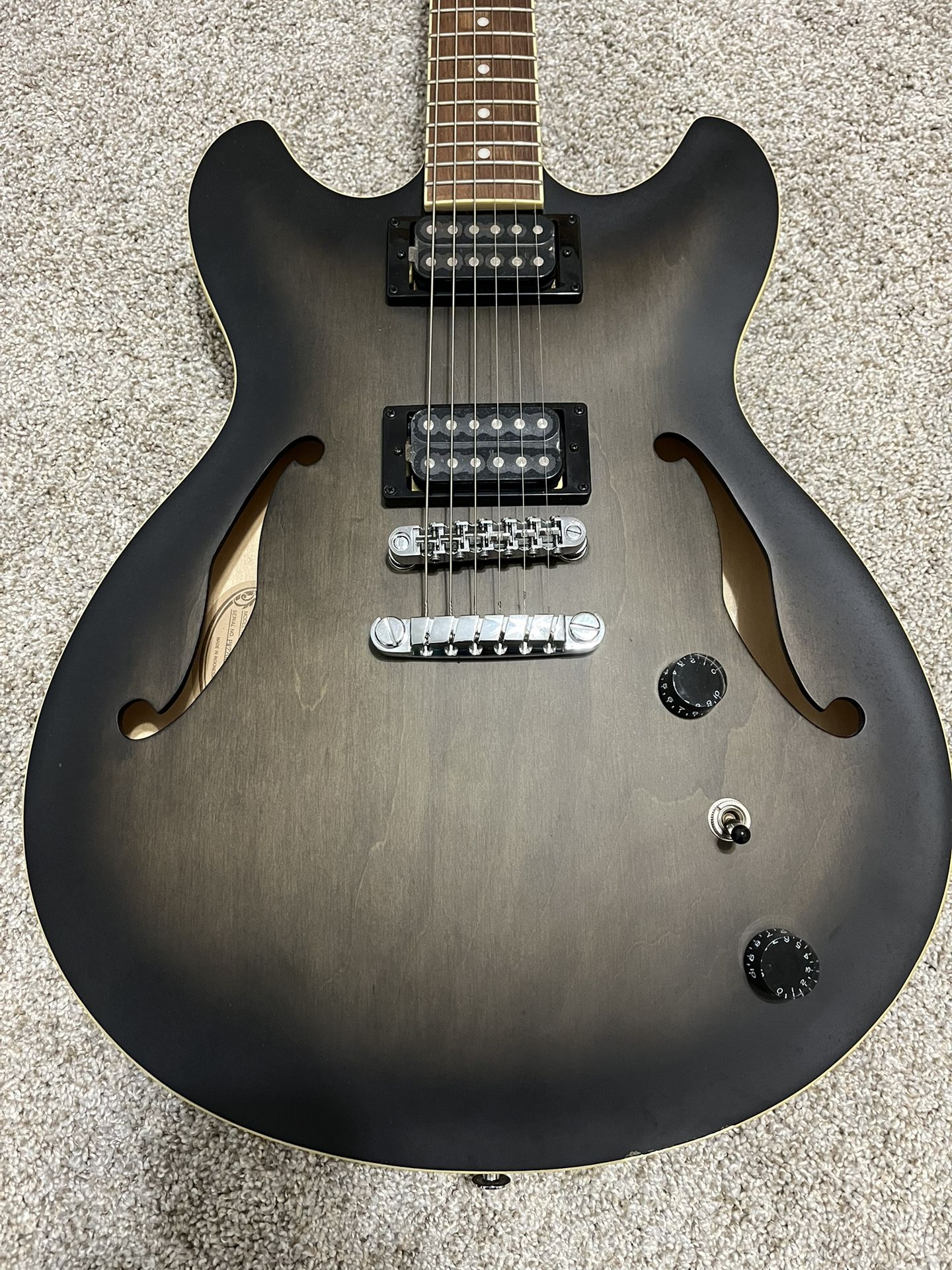 Electric Acoustic Guitar