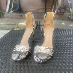 Aldo Snake Print Heels