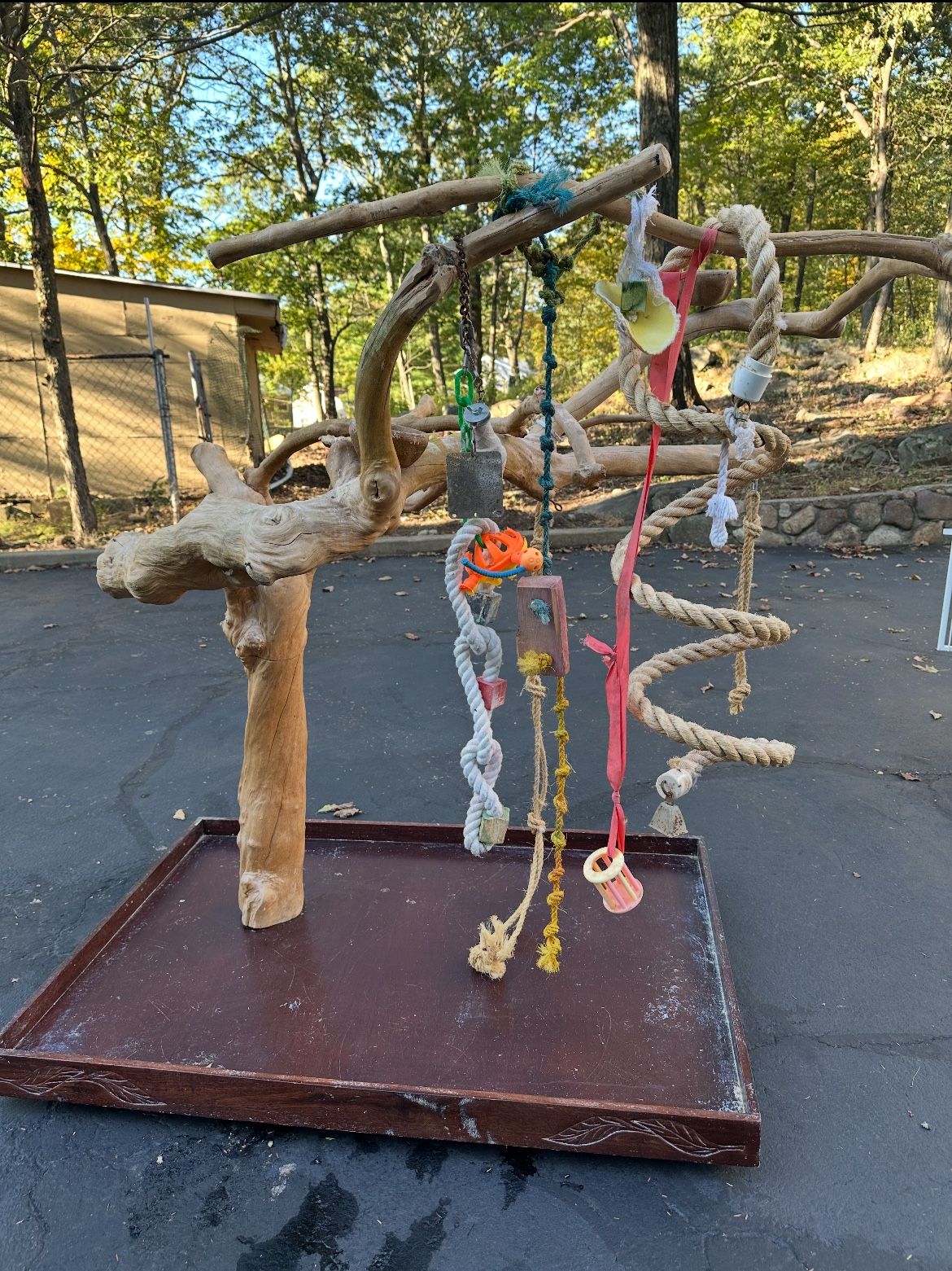 A&E X-large parrot tree stand with 2 bowls. On wheels and can be disassembled for transport. Used  Tree 33x49 base. 55” high