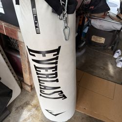 Everlast Heavy Bag