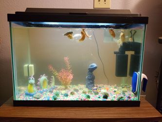 20 gallon fish tank(mint condition) with or without the fish