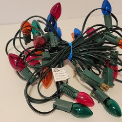 25 Incandescent Bulbs Suitable for Houses, Decorations Hanging on Outdoor & Indoor String Lights, (Green Wire)
