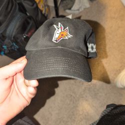 Vintage Phoenix Coyotes Hat
