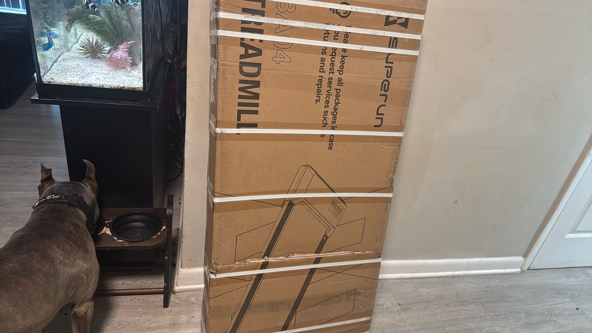Treadmill Pad