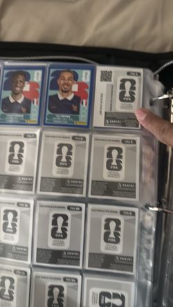 Panini world cup stickers 2026