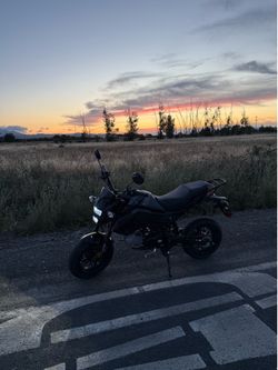 2025/2026 Honda Grom Clone (XPro Vader)