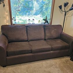 Couch with Queen Pull Out Bed