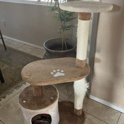 Cat Tower