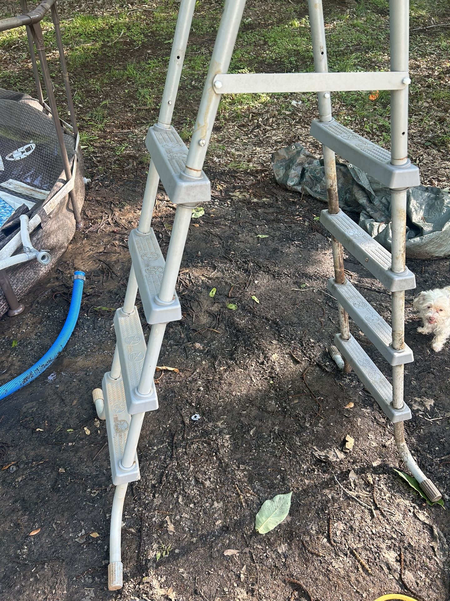 Pool Ladder