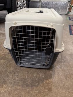 Large Hard-Sided Pet Travel Crate