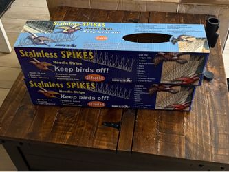 Bird Spike
