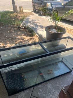 Tank