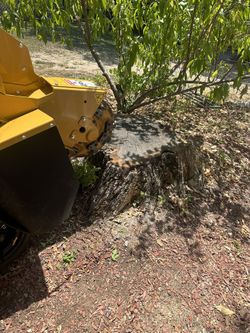Rayco Stump Grinder