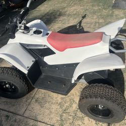 RAZOR BATTERY QUAD FOR KIDS - 36 Volts 