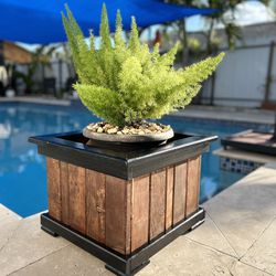 Planter for wooden plants