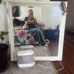 Mirror ✨NEEDS TO BE SOLD TODAY ✨PICK UP ONLY ✨