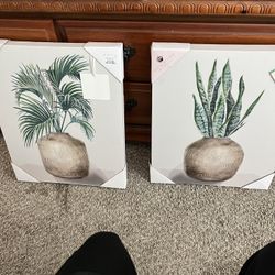 Home Decorations 