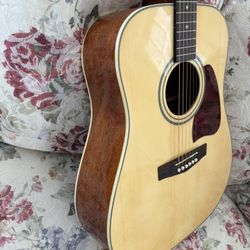 Ibanez Artwood Series AW10 NT – Closet Queen Acoustic