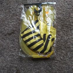 🐝 Costume