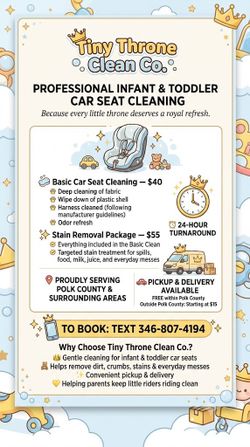 Car seat Cleaning