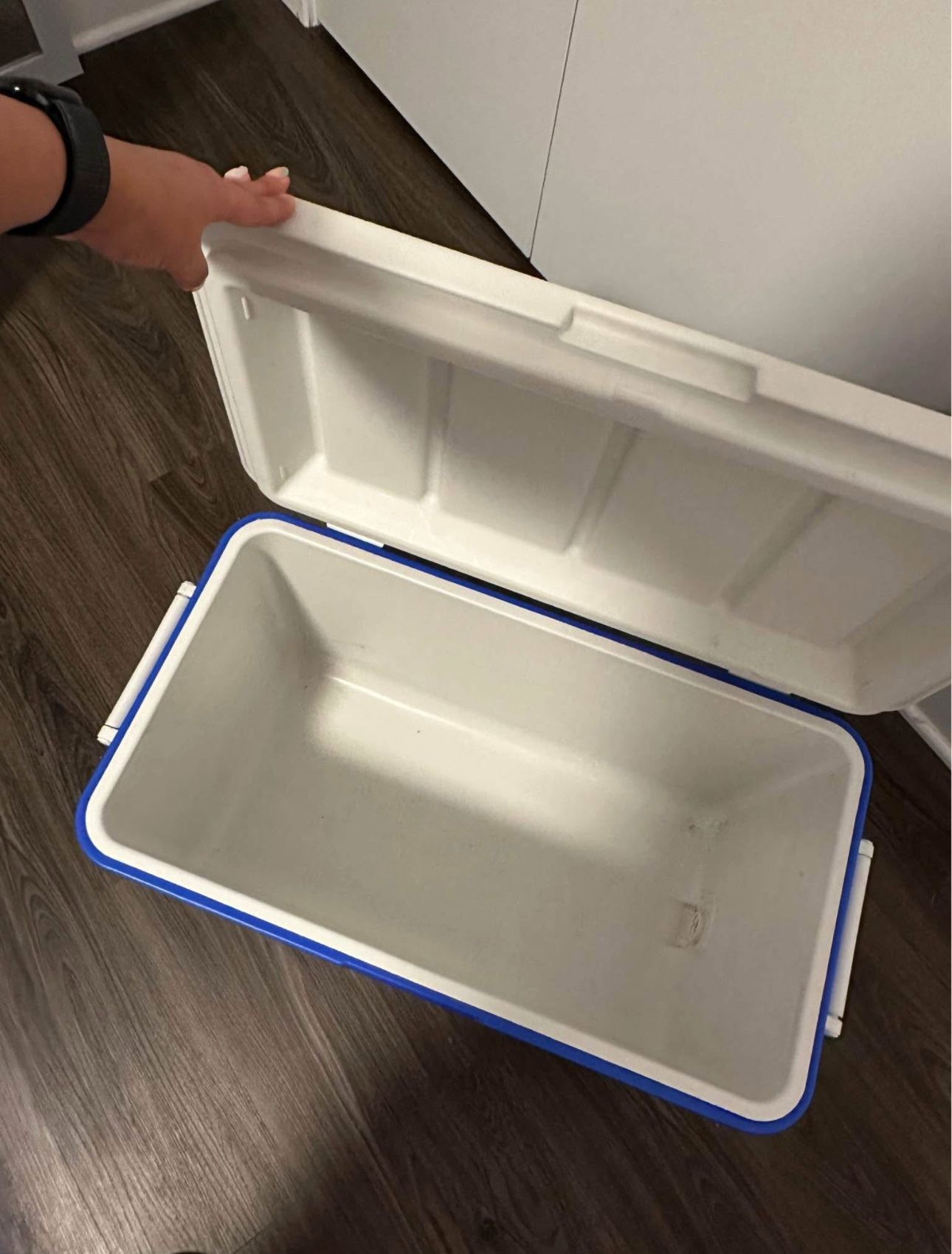 Large Cooler