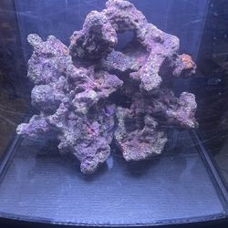 Caribsea Life rock For Saltwater Aquariums 