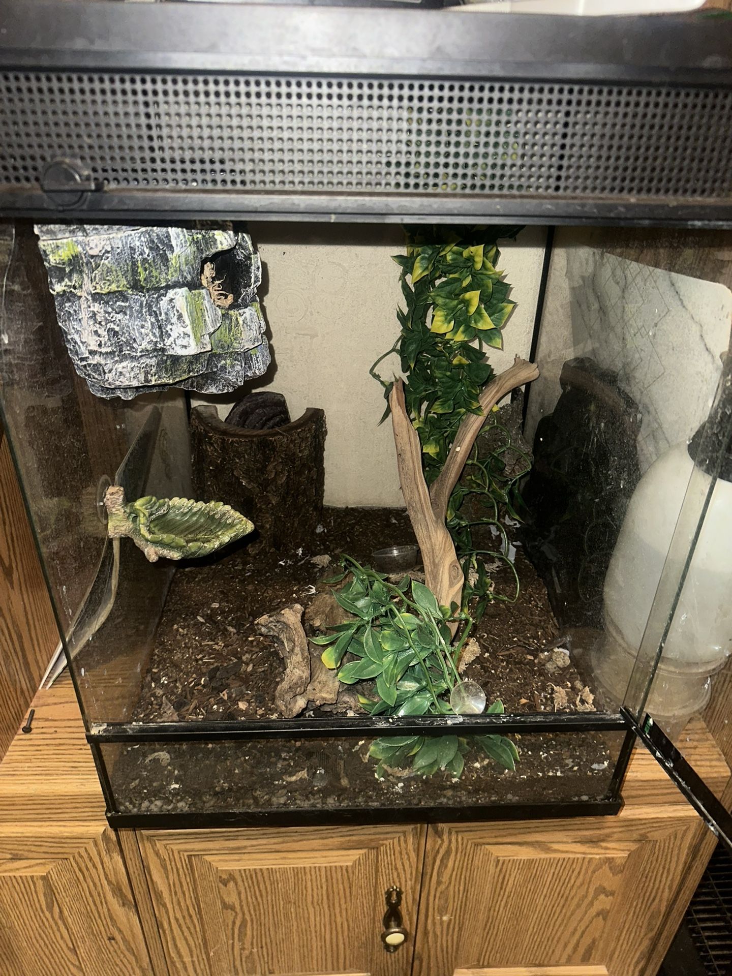 Reptile tank