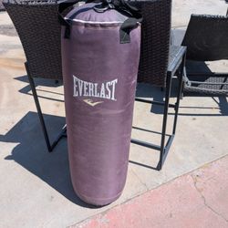 Nice Everlast Punching Bag Easy Hang WILL LAST LONG TIME 90805