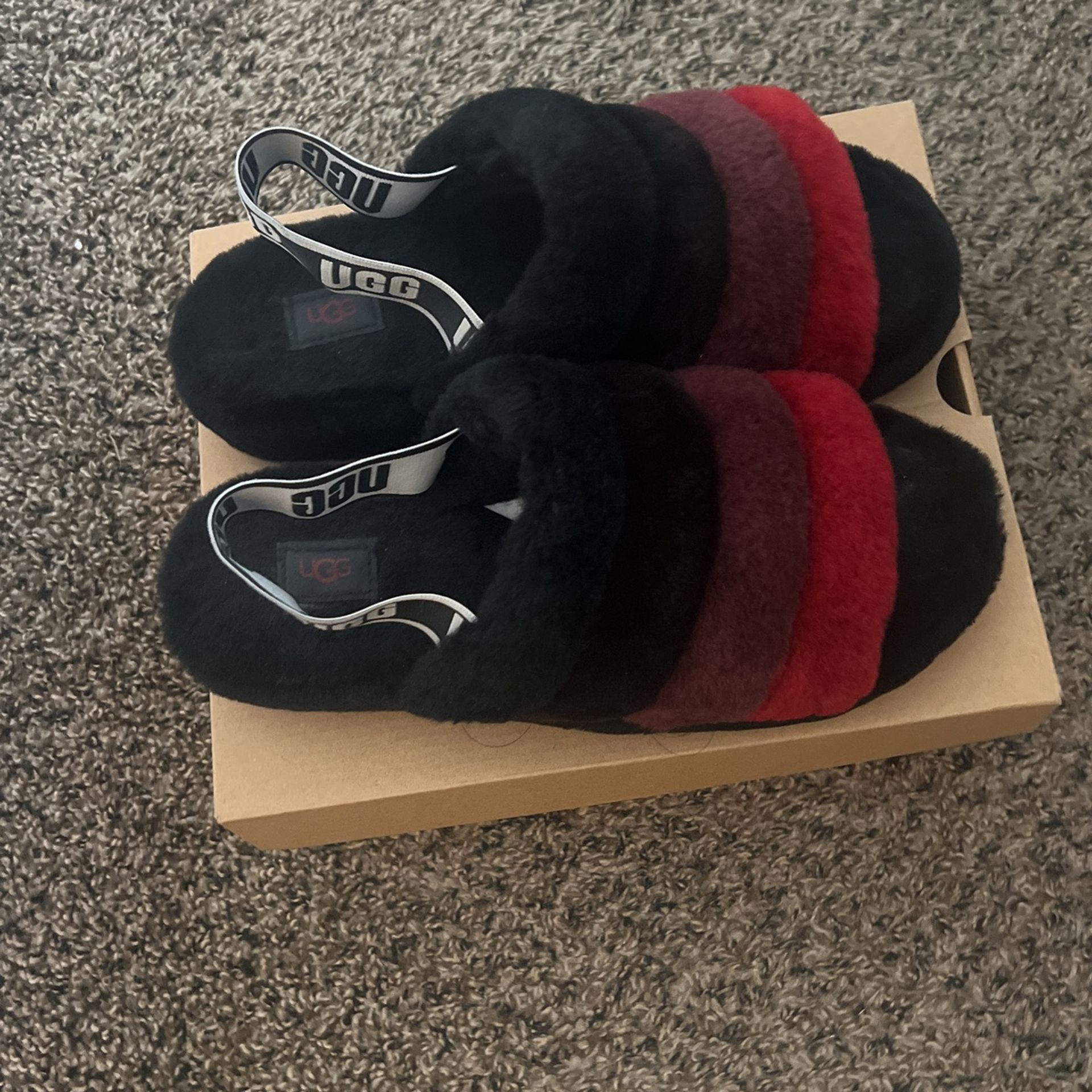 Ugg Slipper