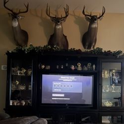 Entertainment Center 