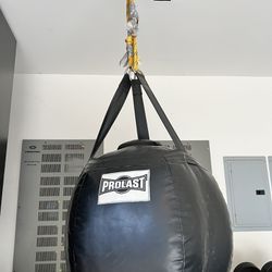 PROLAST Wrecking Ball Heavy Punching Bag Filled Made in USA(New Edition)