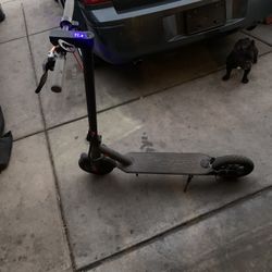 Hover 1 E Scooter