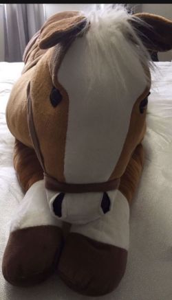 Horse Pony