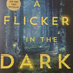 A Flicker In The Dark Book 