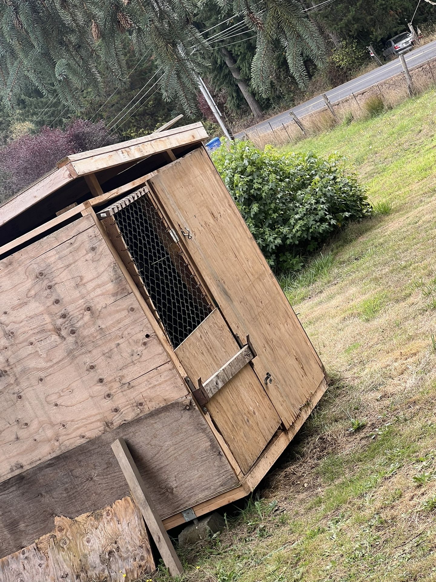 Dog House/chicken Coop
