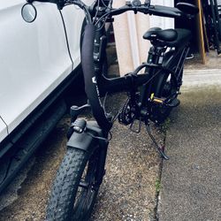 Electric bike