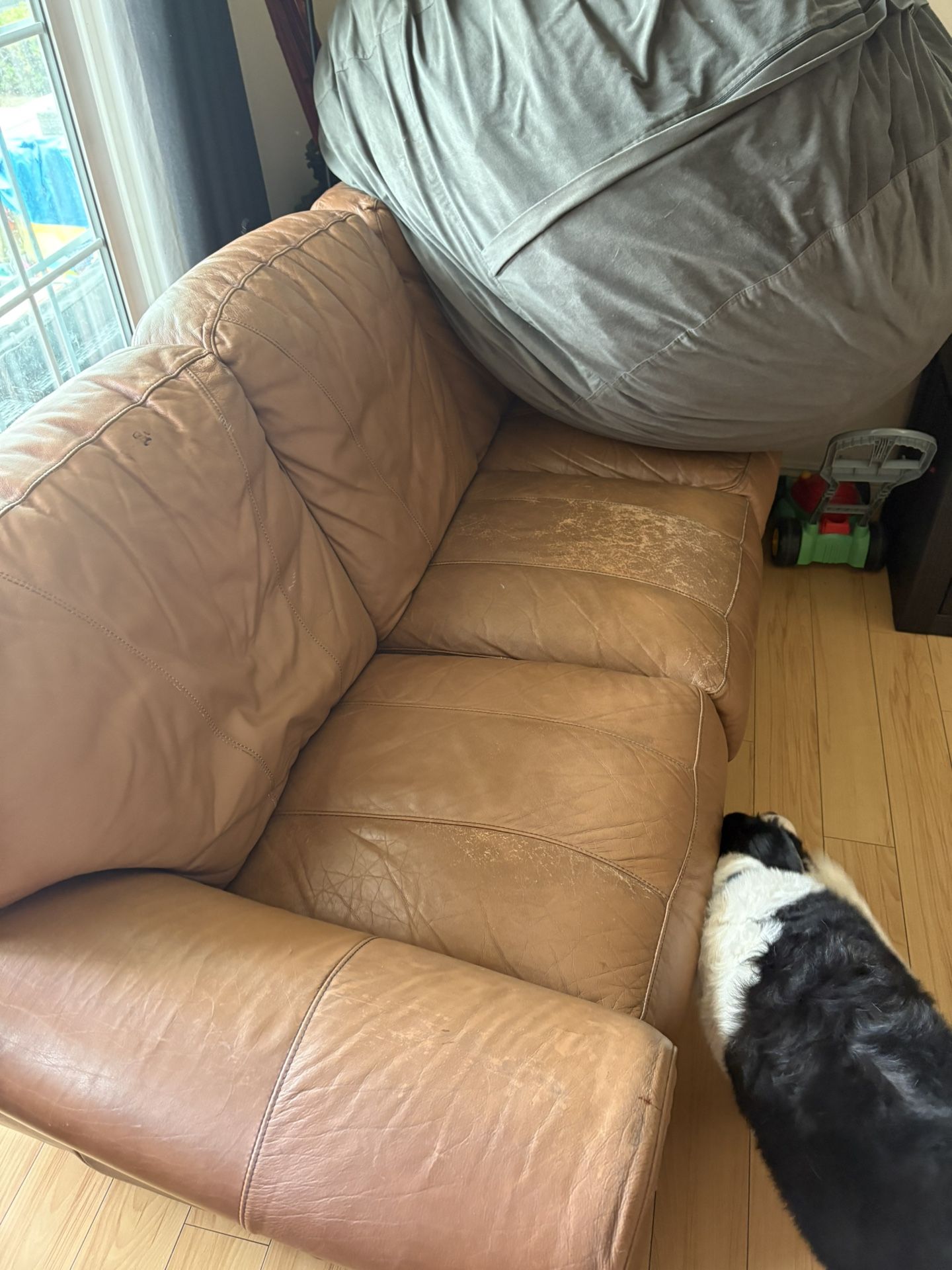 Brown Leather Couches