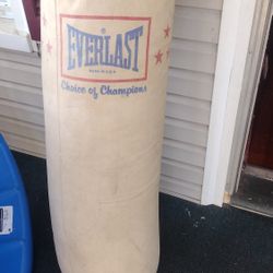 Older Punching Bag But Still Good For Its Purpose