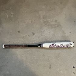 Bat