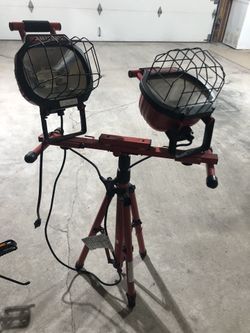 Lamp Husky