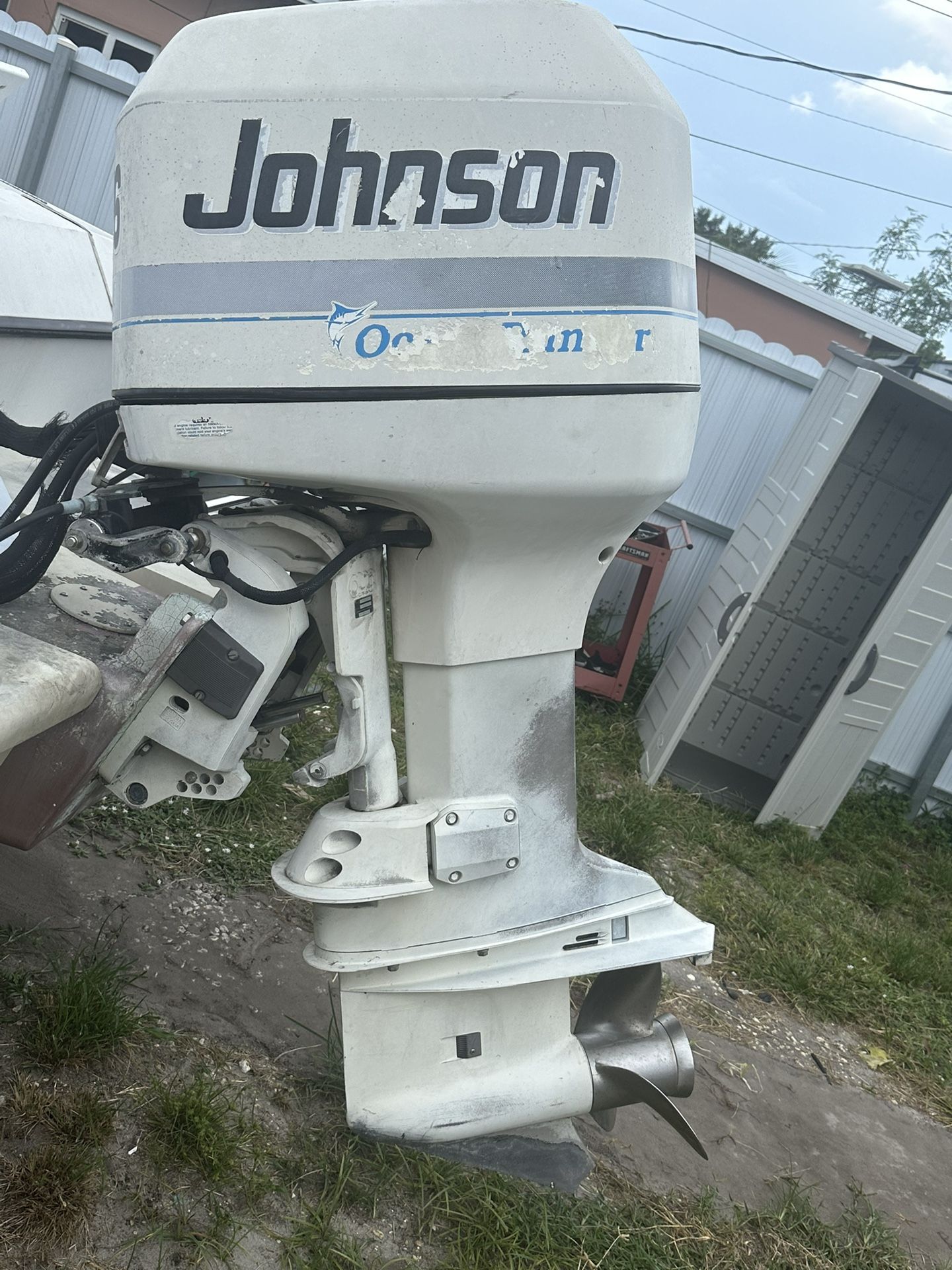 Johnson 225