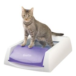 PetSafe ScoopFree Self Cleaning Cat Litter Box With Reusable Steel Tray