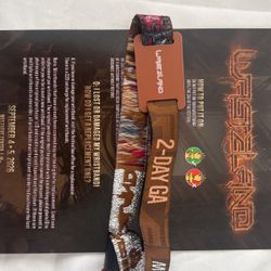 Wasteland 2-Day GA Wristband 