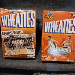 San Antonio Spurs Championship Season
