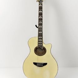 Yamaha APX-20 Acoustic-Electric Guitar Vintage/Rare specimens