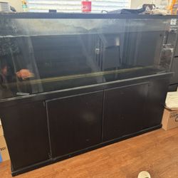 72x32x26 Fish tank With Stand And Fx5 Filter