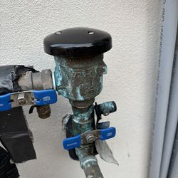 Back flow preventer assembly